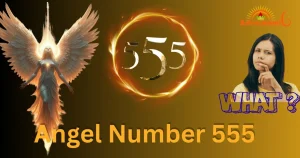 angel number 555
