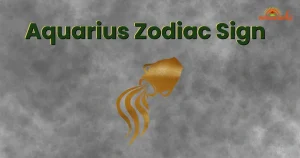 aquarius zodiac sign