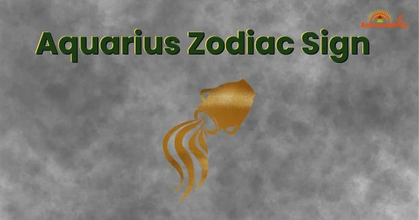 aquarius zodiac sign