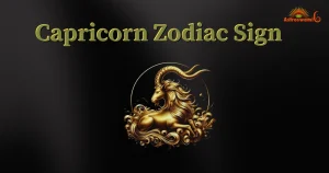 capricorn zodiac sign