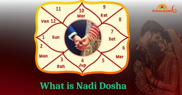 what is naadi dosh