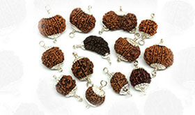 buy-rudraksha-online