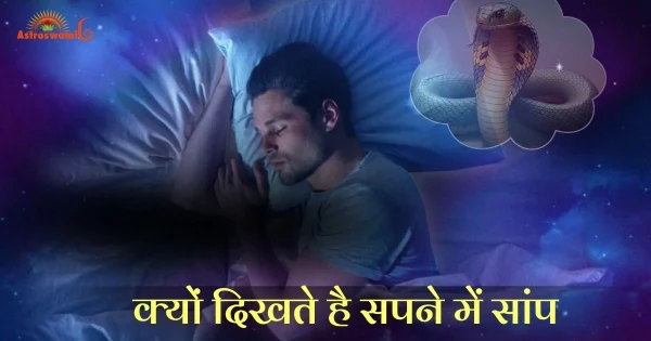 सांप के सपनों का अर्थ